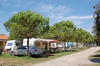 Vorschaubild: Camping Le Palme in Pacengo / Lago di Garda obere Stellplatzterrassen