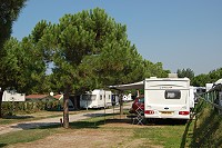 Vorschaubild: Camping Le Palme in Pacengo / Lago di Garda Terrassen im mittleren Bereich