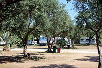 Vorschaubild: La Playa in Isola delle Femmine (bei Palermo) Stellplätze unter Olivenbäumen