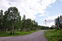 Vorschaubild: Ripan Camping in Kiruna Zeltwiese unter Bäumen