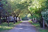 Vorschaubild: Camping des Nations in Auberives sur Varèze Stellplätze unter Bäumen