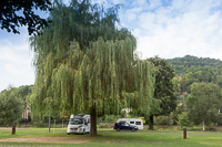 Vorschaubild: Camping de la Sûre in Diekirch vereinzelte hohe Bäume