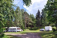 Vorschaubild: Ljusnefors Camping in Ljusne Wiesenflächen am Wald
